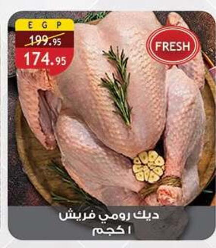 available at الرايه  ماركت in Egypt - القاهرة