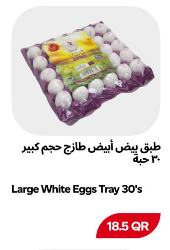 available at Snoomart in Qatar - Al Rayyan