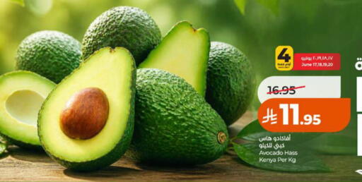 Avocado from Kenya available at لولو هايبرماركت in مملكة العربية السعودية, السعودية, سعودية - الطائف
