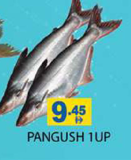 available at Zain Mart Supermarket in UAE - Ras al Khaimah