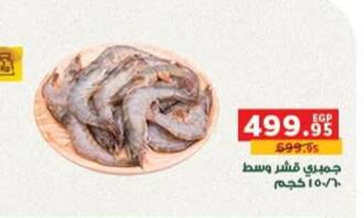 available at بنده in Egypt - القاهرة