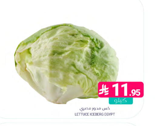Lettuce from Egypt available at Muntazah Markets in KSA, Saudi Arabia, Saudi - Dammam