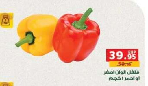 available at بنده in Egypt - القاهرة
