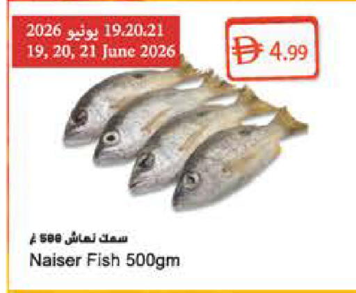 available at المايا سوبرماركت in الإمارات العربية المتحدة , الامارات - الشارقة / عجمان