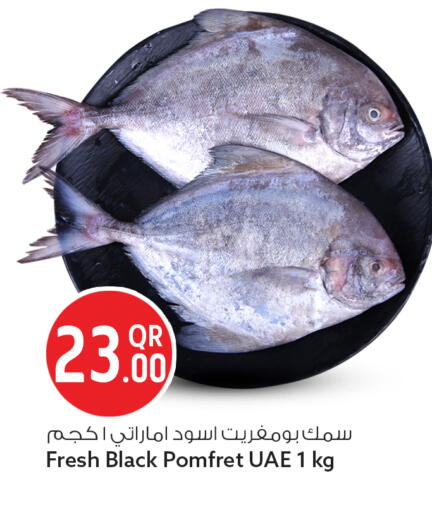 available at سفاري هايبر ماركت in قطر - الوكرة