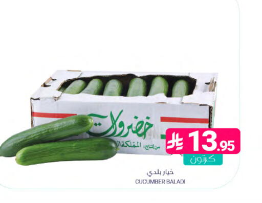 Cucumber available at Muntazah Markets in KSA, Saudi Arabia, Saudi - Dammam