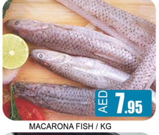 available at لكي سنتر in الإمارات العربية المتحدة , الامارات - الشارقة / عجمان