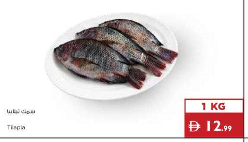 available at إسطنبول سوبرماركت in الإمارات العربية المتحدة , الامارات - الشارقة / عجمان
