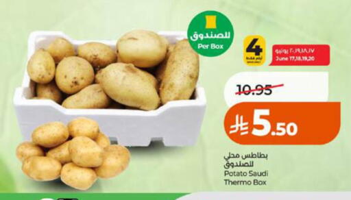 Potato from Saudi Arabia available at لولو هايبرماركت in مملكة العربية السعودية, السعودية, سعودية - جدة