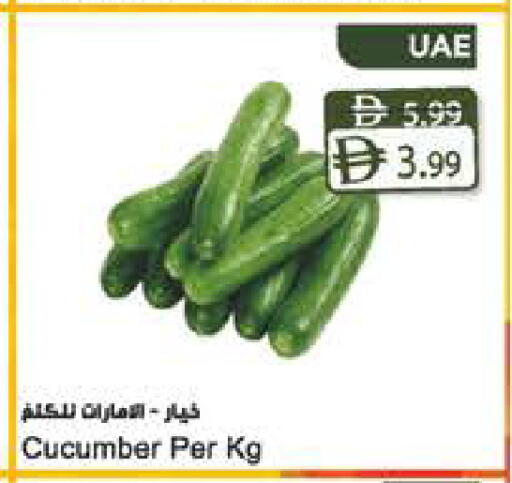 Cucumber available at المايا سوبرماركت in الإمارات العربية المتحدة , الامارات - الشارقة / عجمان