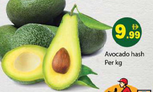 Avocado available at Gulf Hypermarket LLC in UAE - Ras al Khaimah