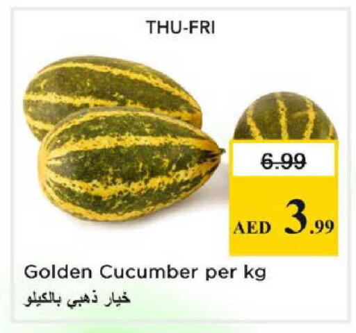 Cucumber available at نستو هايبرماركت in الإمارات العربية المتحدة , الامارات - الشارقة / عجمان