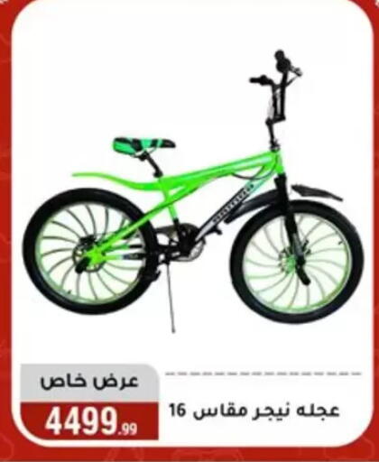 available at Al Morshedy  in Egypt - Cairo