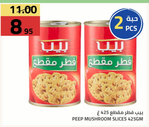 Mushroom available at Astra Markets in KSA, Saudi Arabia, Saudi - Tabuk