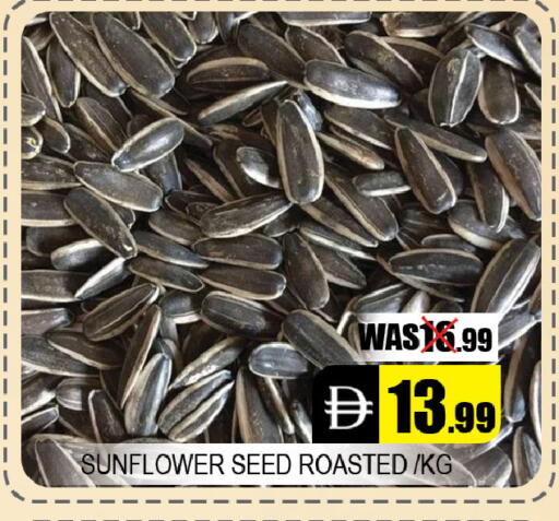 available at Leptis Hypermarket  in UAE - Al Ain