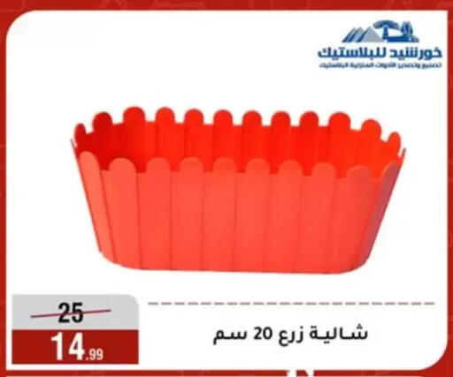 available at Al Morshedy  in Egypt - Cairo