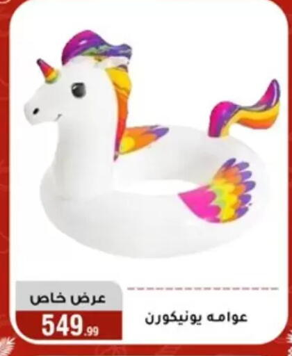 available at Al Morshedy  in Egypt - Cairo