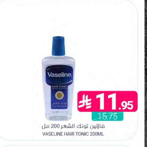 available at Muntazah Markets in KSA, Saudi Arabia, Saudi - Dammam