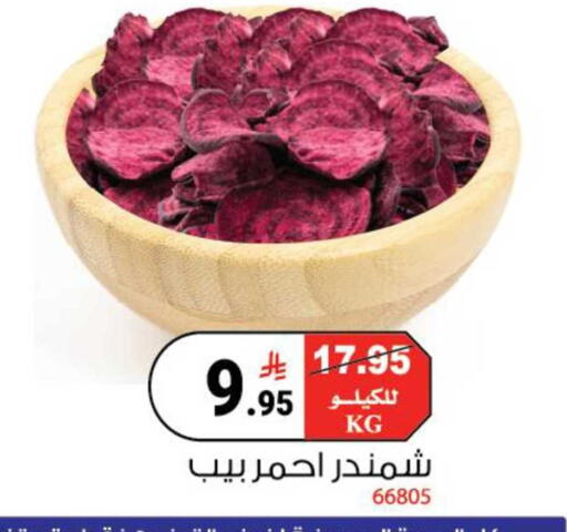 available at House Care in KSA, Saudi Arabia, Saudi - Mecca