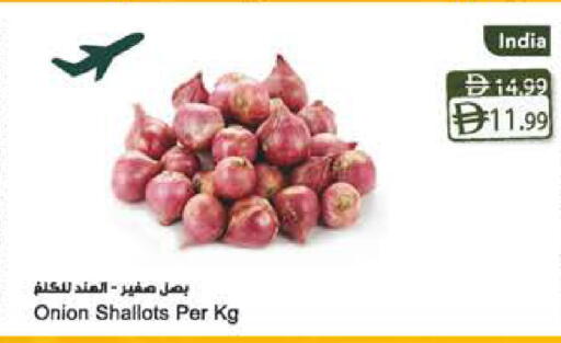 Onion from India available at Almaya Supermarkets in UAE - Sharjah / Ajman