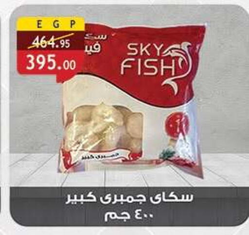 available at Al Rayah Market   in Egypt - Cairo