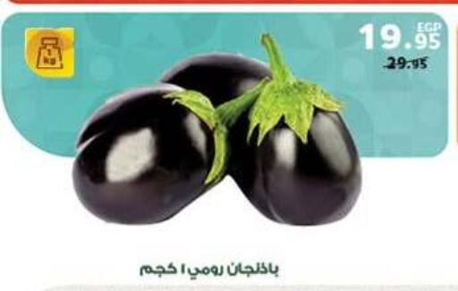 available at بنده in Egypt - القاهرة