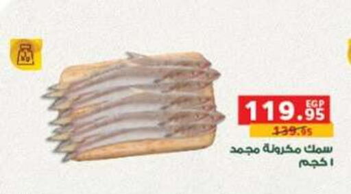 available at بنده in Egypt - القاهرة