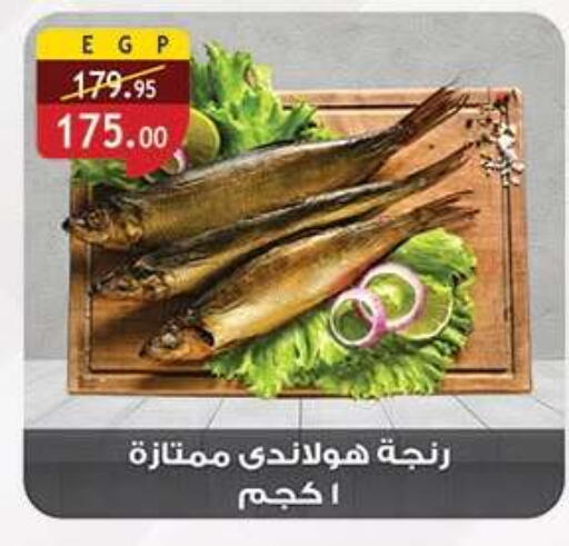 available at Al Rayah Market   in Egypt - Cairo
