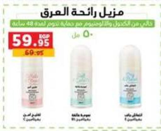 available at بنده in Egypt - القاهرة