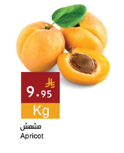 Apricot available at Hala Markets in KSA, Saudi Arabia, Saudi - Dammam
