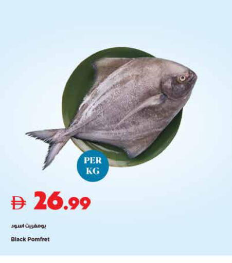 available at تروليز سوبرماركت in الإمارات العربية المتحدة , الامارات - الشارقة / عجمان