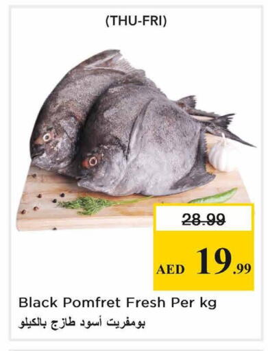 available at نستو هايبرماركت in الإمارات العربية المتحدة , الامارات - الشارقة / عجمان