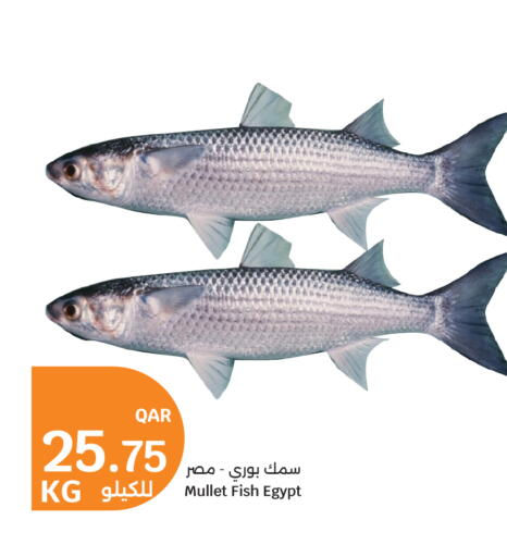 available at City Hypermarket in Qatar - Al Wakra