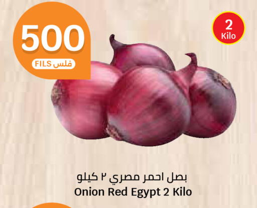 Onion from Egypt available at City Hypermarket in Kuwait - Kuwait City