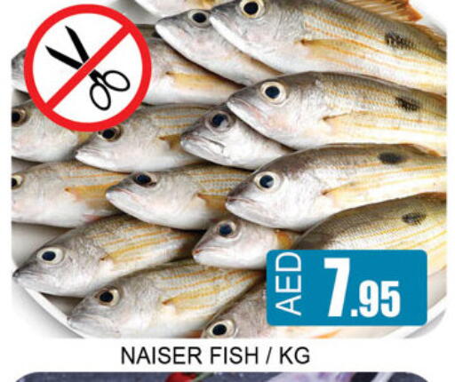 available at لكي سنتر in الإمارات العربية المتحدة , الامارات - الشارقة / عجمان