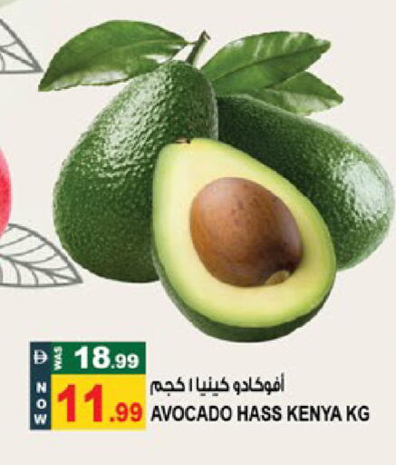 Avocado from Kenya available at Hashim Hypermarket in UAE - Sharjah / Ajman