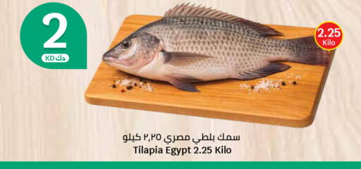 available at City Hypermarket in Kuwait - Kuwait City