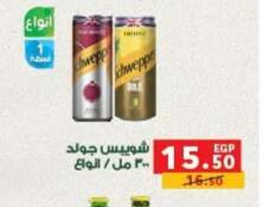 available at بنده in Egypt - القاهرة