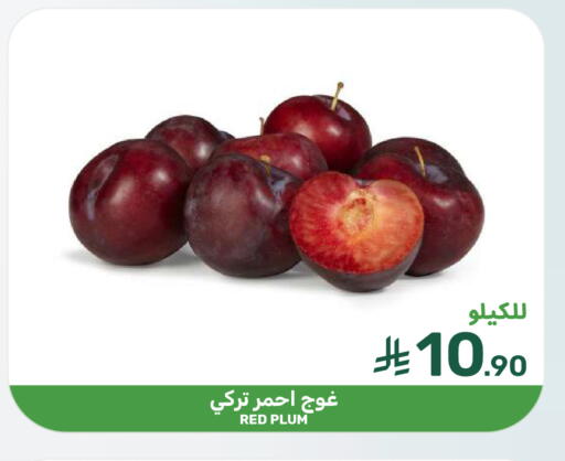 Plum available at Mazaya in KSA, Saudi Arabia, Saudi - Dammam