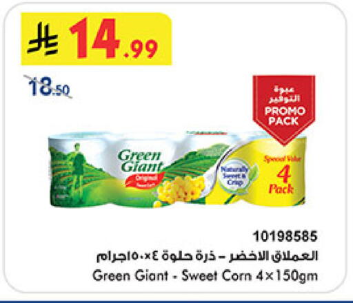 available at بن داود in مملكة العربية السعودية, السعودية, سعودية - المدينة المنورة