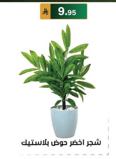 available at الحسين توب أب in مملكة العربية السعودية, السعودية, سعودية - الرياض
