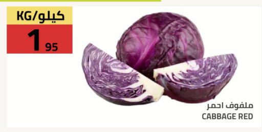 Cabbage available at Astra Markets in KSA, Saudi Arabia, Saudi - Tabuk