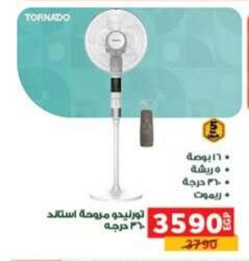 available at بنده in Egypt - القاهرة