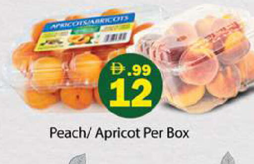 Peach Apricot available at Gulf Hypermarket LLC in UAE - Ras al Khaimah