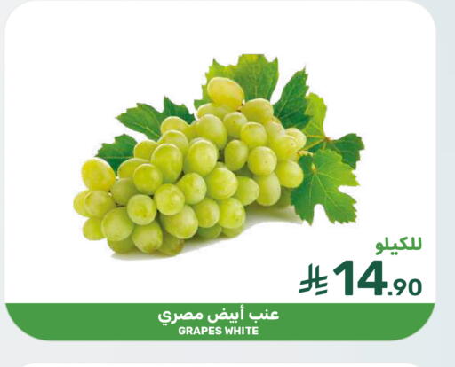 Grapes available at Mazaya in KSA, Saudi Arabia, Saudi - Dammam