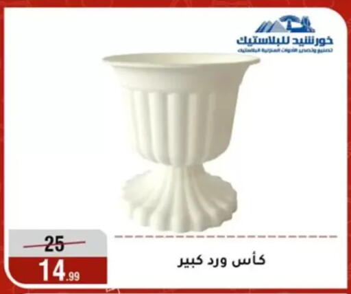 available at Al Morshedy  in Egypt - Cairo