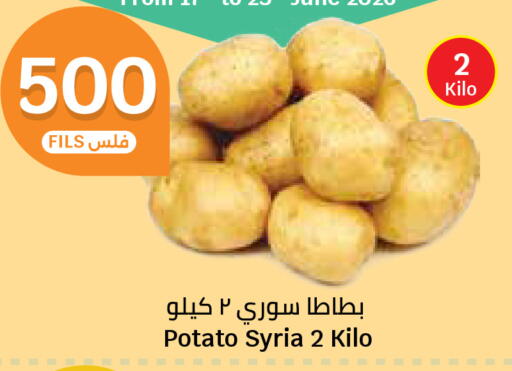 Potato from Syria available at City Hypermarket in Kuwait - Kuwait City