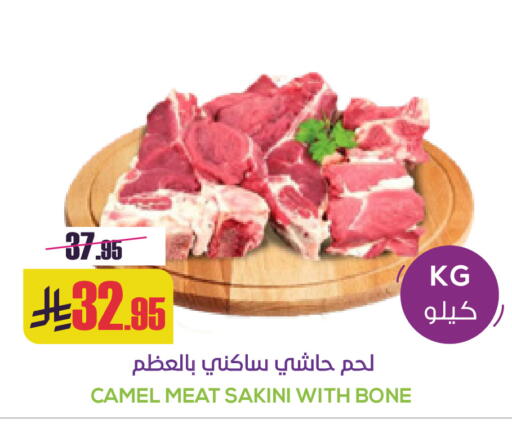 available at سبت in مملكة العربية السعودية, السعودية, سعودية - بريدة