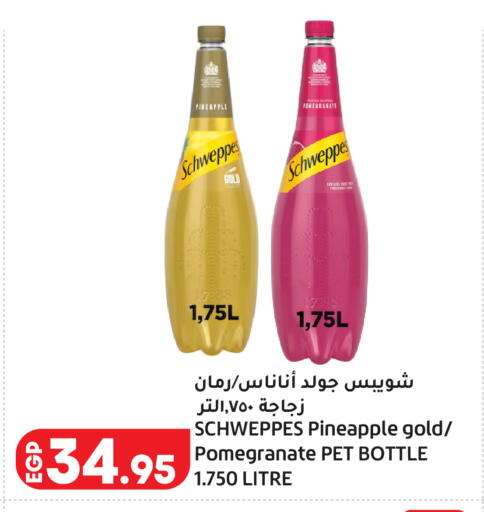 Pineapple Pomegranate available at لولو هايبرماركت in Egypt - القاهرة