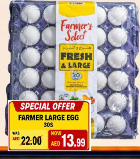 available at ROYAL GULF HYPERMARKET LLC in UAE - Abu Dhabi